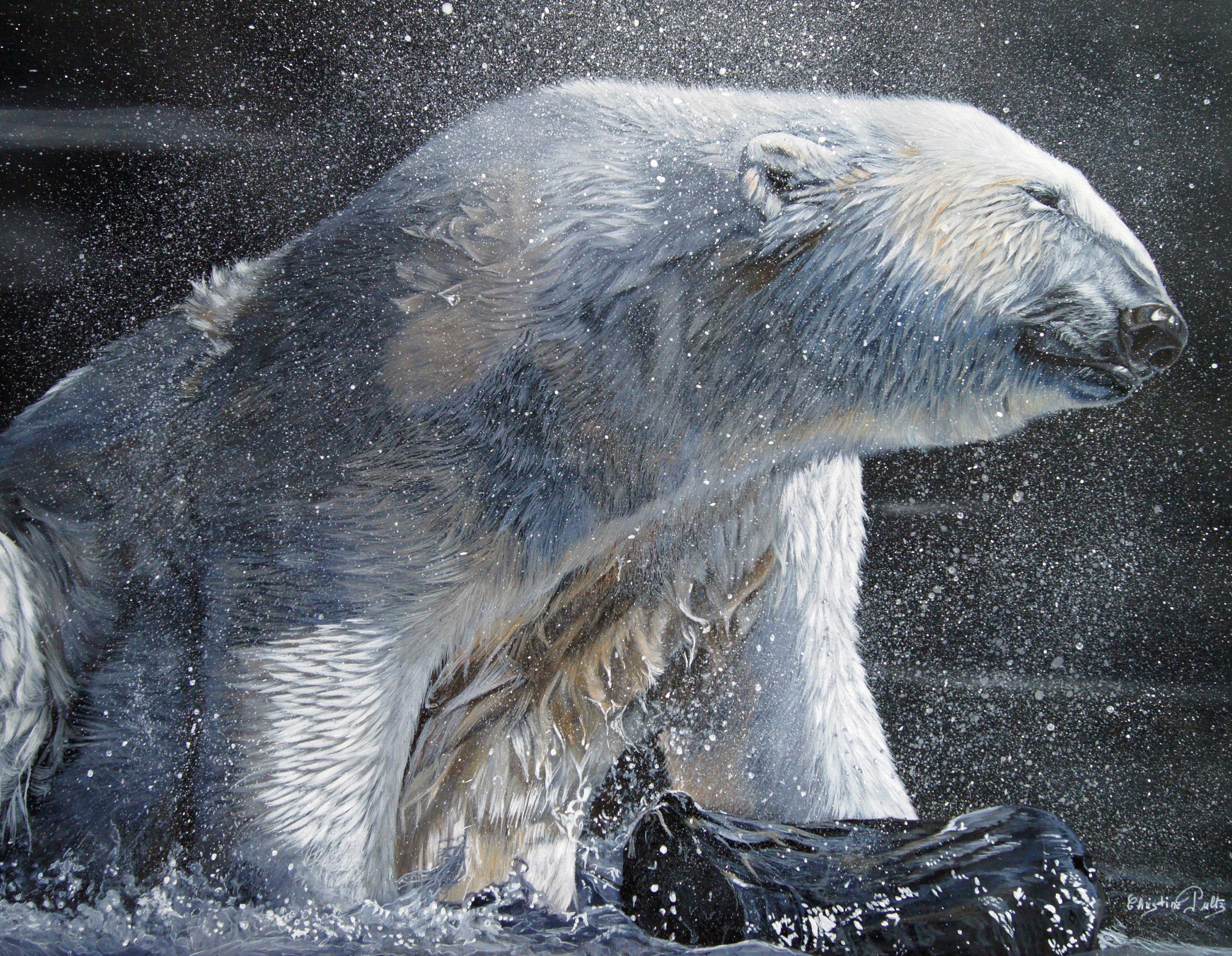 French Contemporary Animal Painting by Christine Pultz - Seigneur de l' Arctique