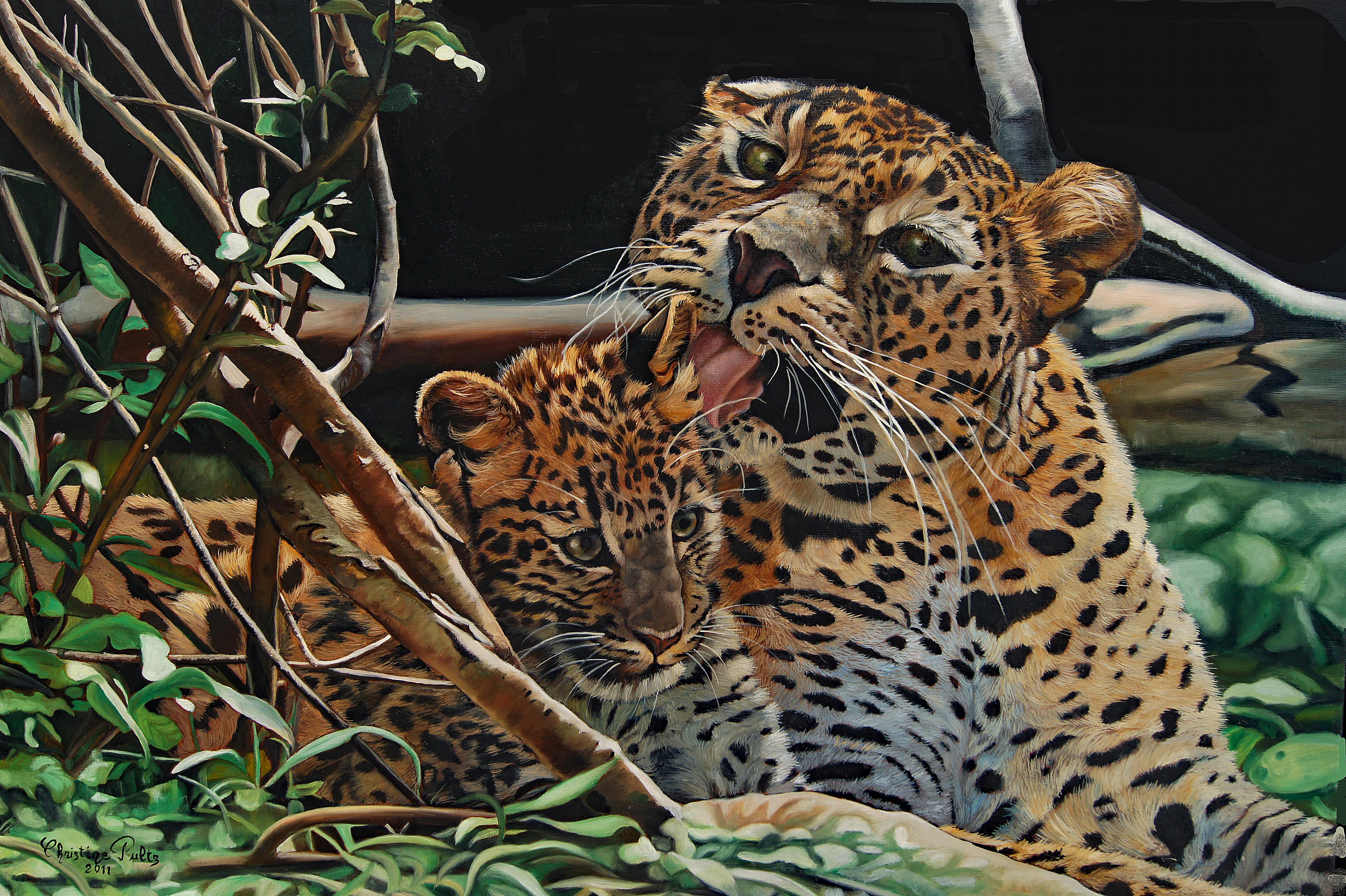 Peinture française contemporaine d'animaux par Christine Pultz - Les Sri Lankans
