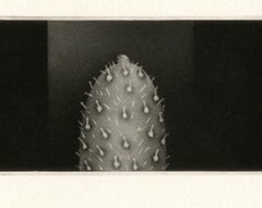 Bout a Bout (traduzione: da un capo all'altro) - In occasione del Mese dell'Orgoglio