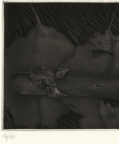 Branche Horizontale (horizontal branch lying on patterns of grass and leaves)