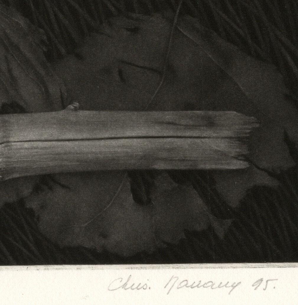 Horizontaler Zweig ( Horizontaler Zweig, der auf Gras- und Blättern liegt) (Schwarz), Abstract Print, von Christine Ravaux