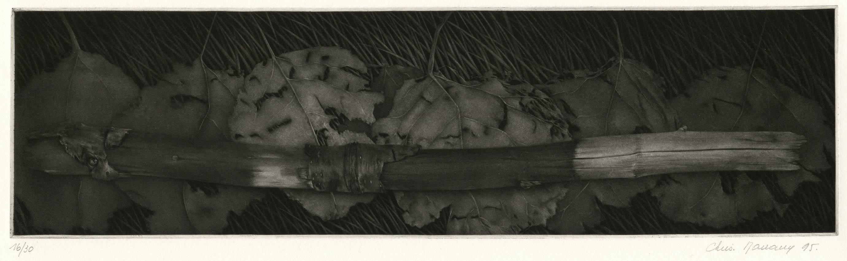 Branche Horizontale (ramo orizzontale adagiato su disegni di erba e foglie) - Abstract Print Nero di Christine Ravaux