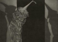 Contre Sens (against the Grain)