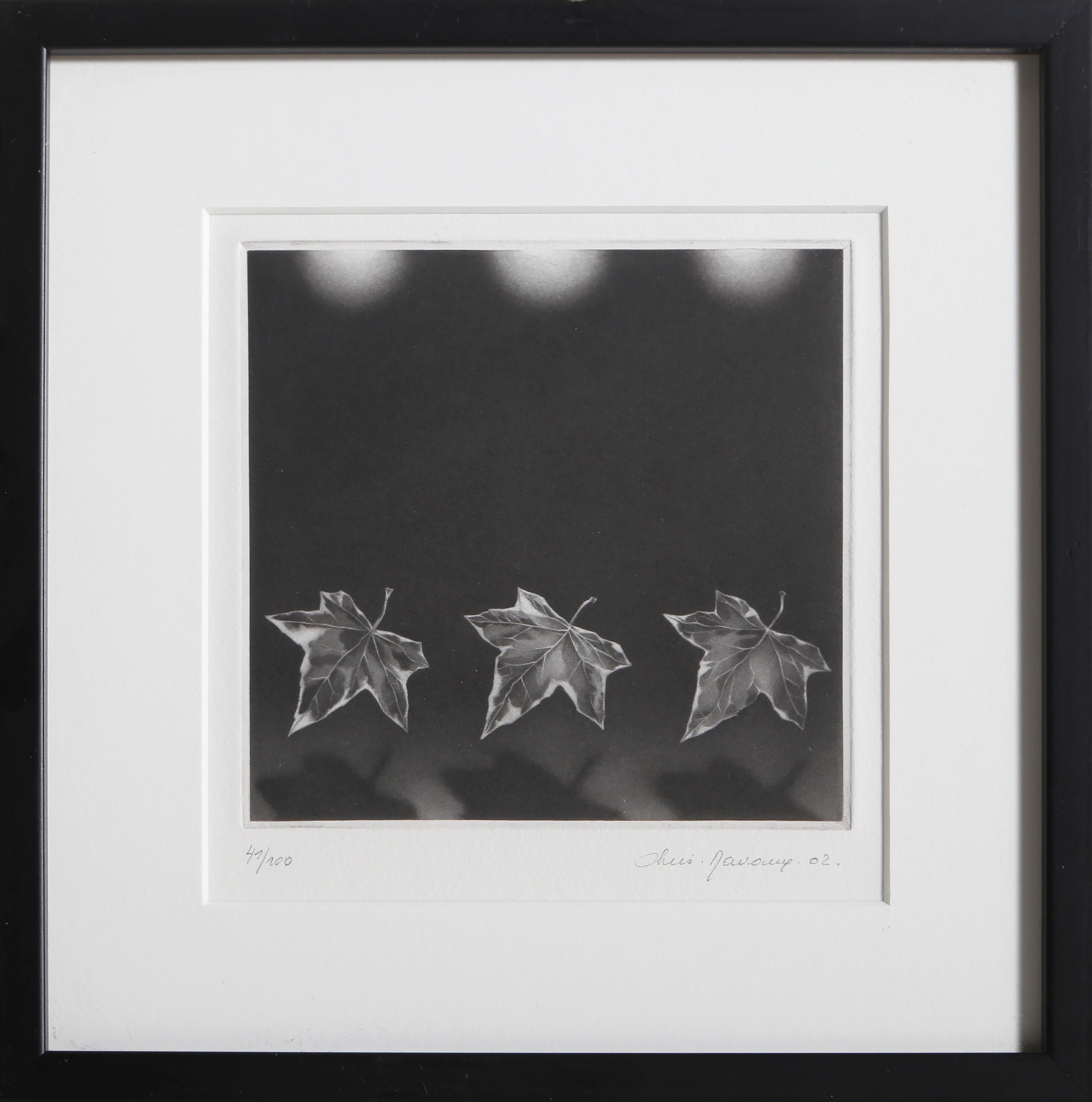 Christine Ravaux, belga (1961 - 2021) - Edera, Anno:  2002, Medio:  Mezzatinta, firmato, numerato e datato a matita, Edizione:  41/100, Dimensione immagine:  4,25 x 4,25 pollici, Dimensioni della cornice:  8 x 7,75 pollici, Editore:  A. Stone e