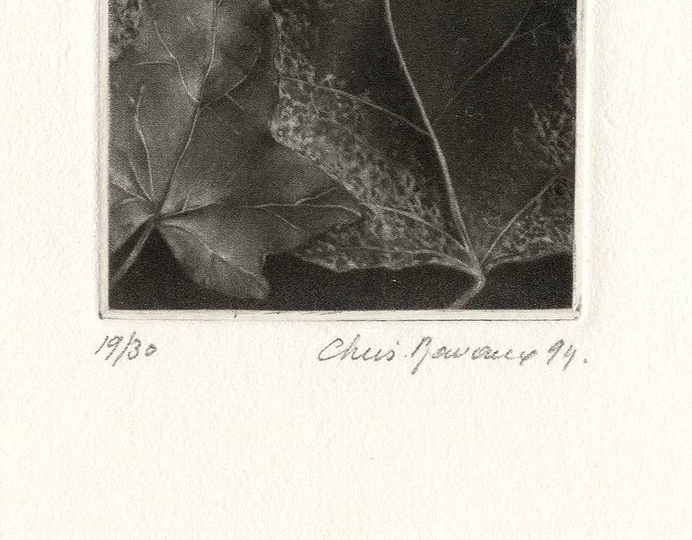 Leaves - American Modern Print by Christine Ravaux