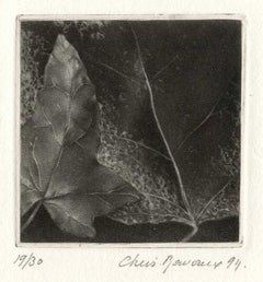 Vintage Leaves