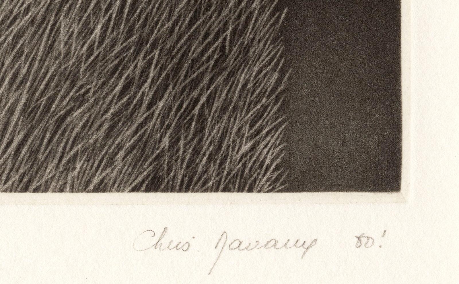 Christine Ravaux schuf Peau d' Are, das mit Bleistift signiert ist.  Dieser Eindruck ist #2 von 15

Schwarz- und Grautöne auf einem herabgefallenen Ast ergeben ein ansprechendes Muster im Kontrast zu den Gräsern und Farnen, die darunter liegen. 