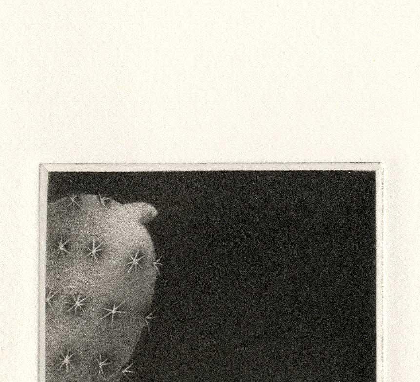 Prickles and Hairs - En Celebración del Mes del Orgullo - Print de Christine Ravaux