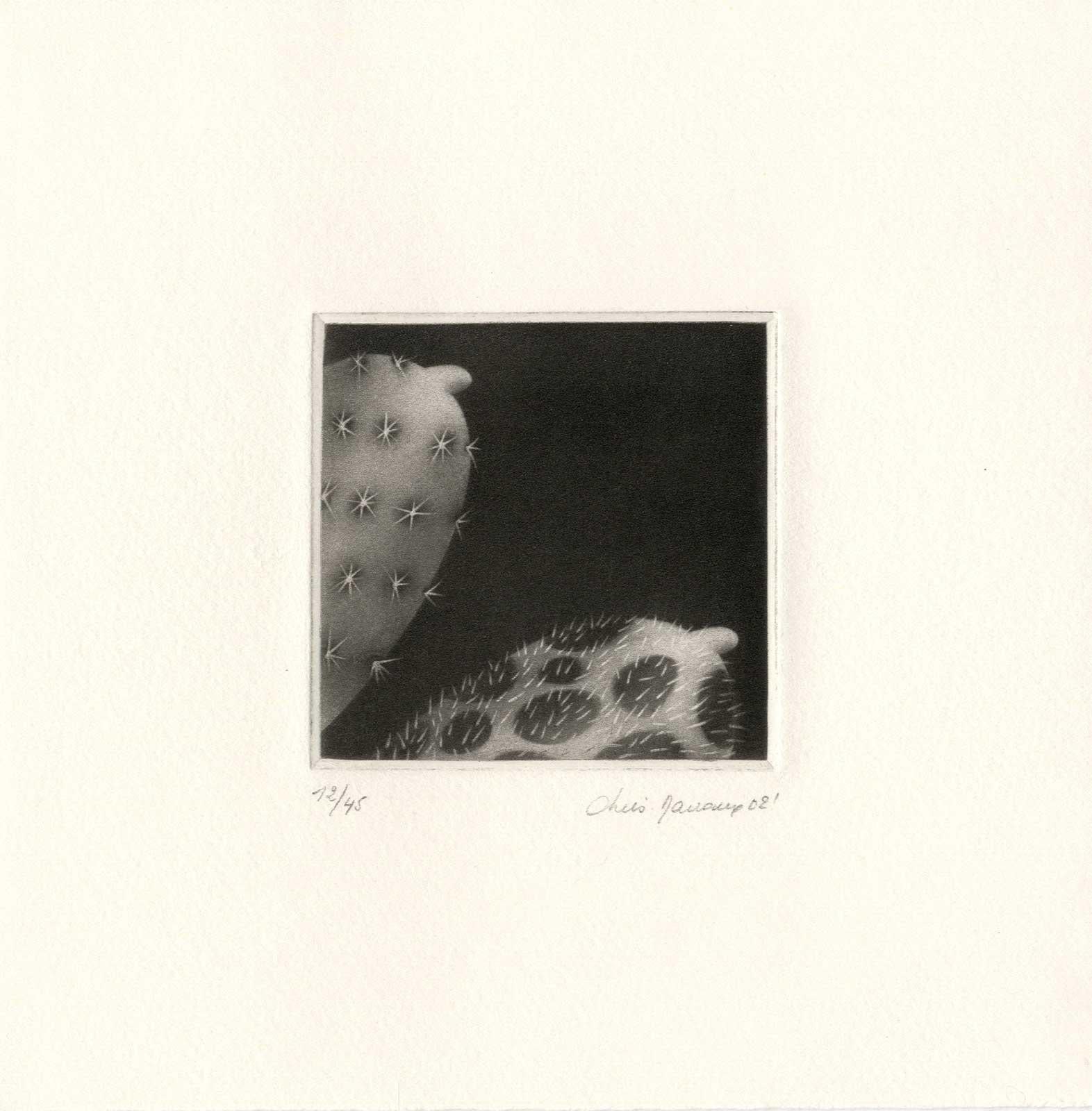 Prickles and Hairs - En Celebración del Mes del Orgullo - Landscape Print Negro de Christine Ravaux