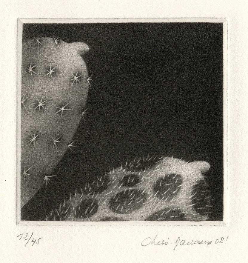 Landscape Print de Christine Ravaux - Prickles and Hairs - En Celebración del Mes del Orgullo