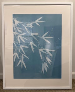Celadon Bamboo (cyanotype)