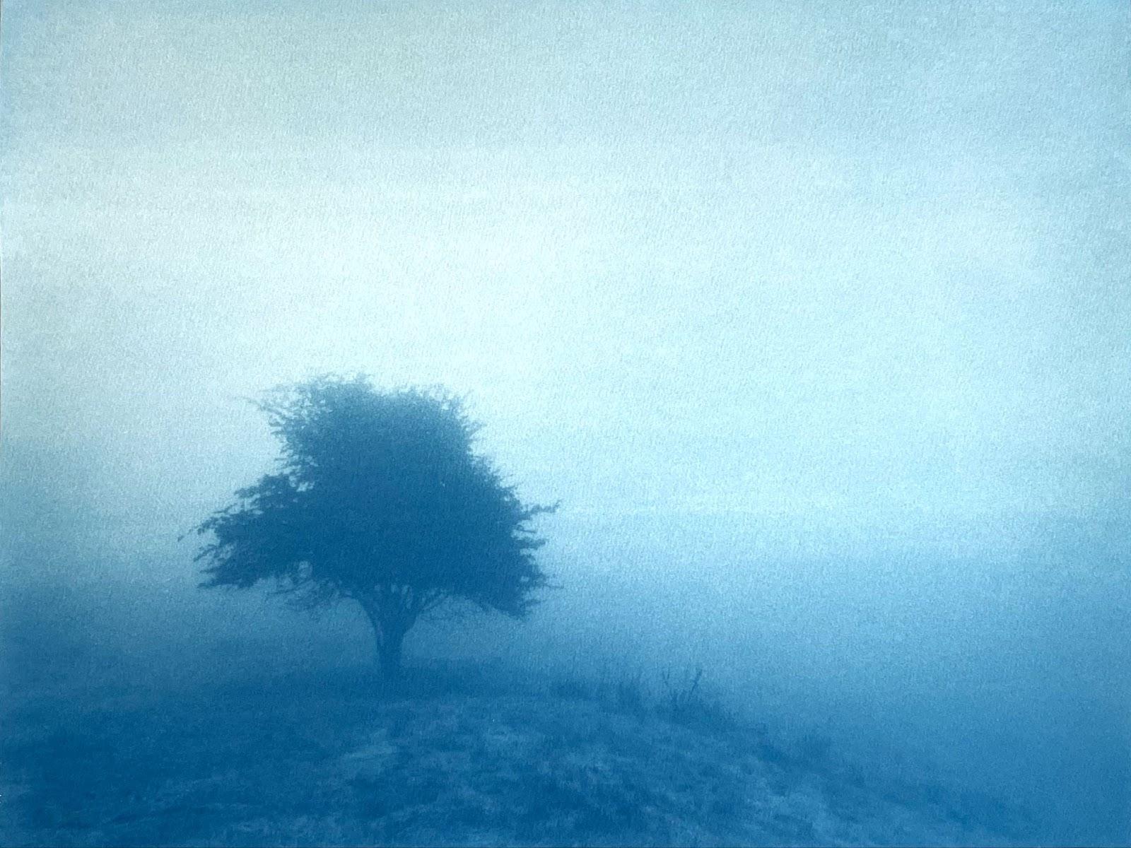 Niebla al amanecer - Mixed Media Art de Christine So