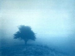 Niebla al amanecer