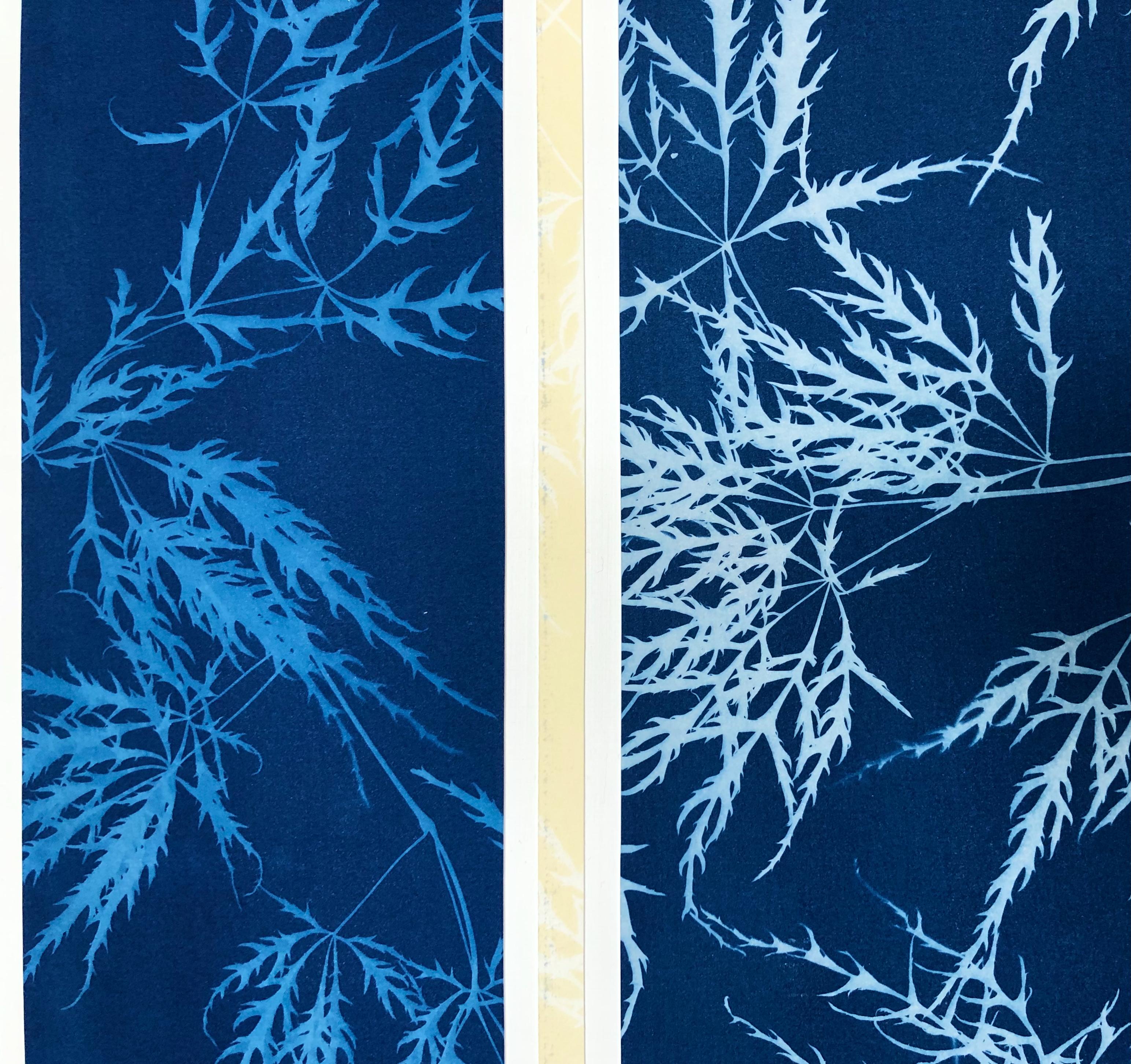 This striped collage in all shades of indigo calls to mind Indonesian or Guatemalan woven textiles. The pattern mounted on wood panel was made by hand-printing, then then slicing into strips and arranging, botanical cyanotype prints of native