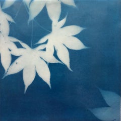 Japanese Maple ( 8 x 8 inch encaustic collage on wood panel)
