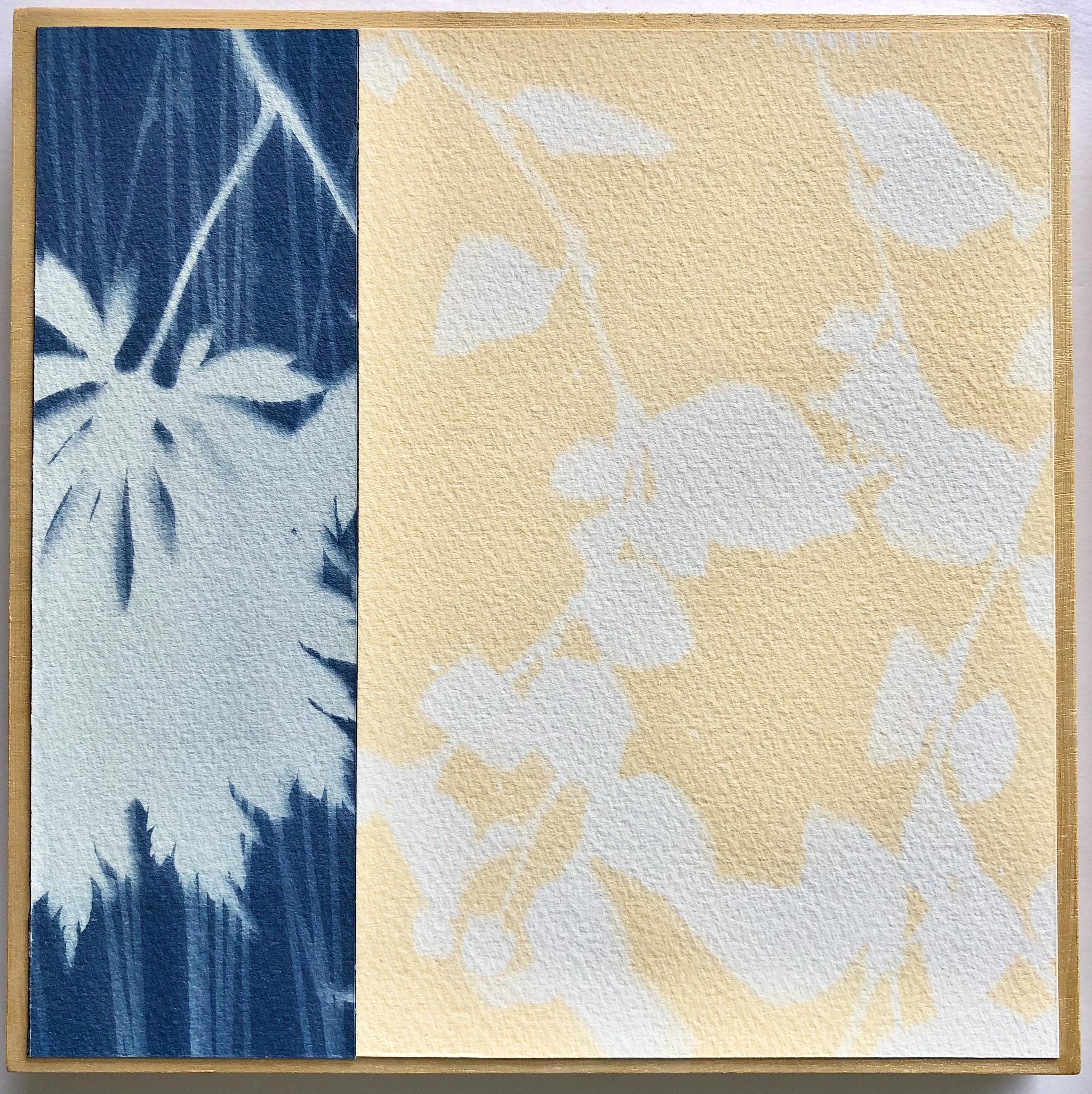 These mini collages on wood panel were made using my hand-printed botanical cyanotypes in blue and yellow. Their sides are painted gold. They each measure 8 x 8 inches x 3/4 “ (20 x 20 cm) and together span anywhere from 16 inches horizontally to 18