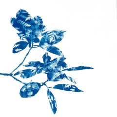 Rhododendron Bud II