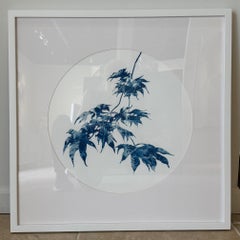 Spring Japanese Maple