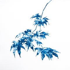 Spring Japanese Maple