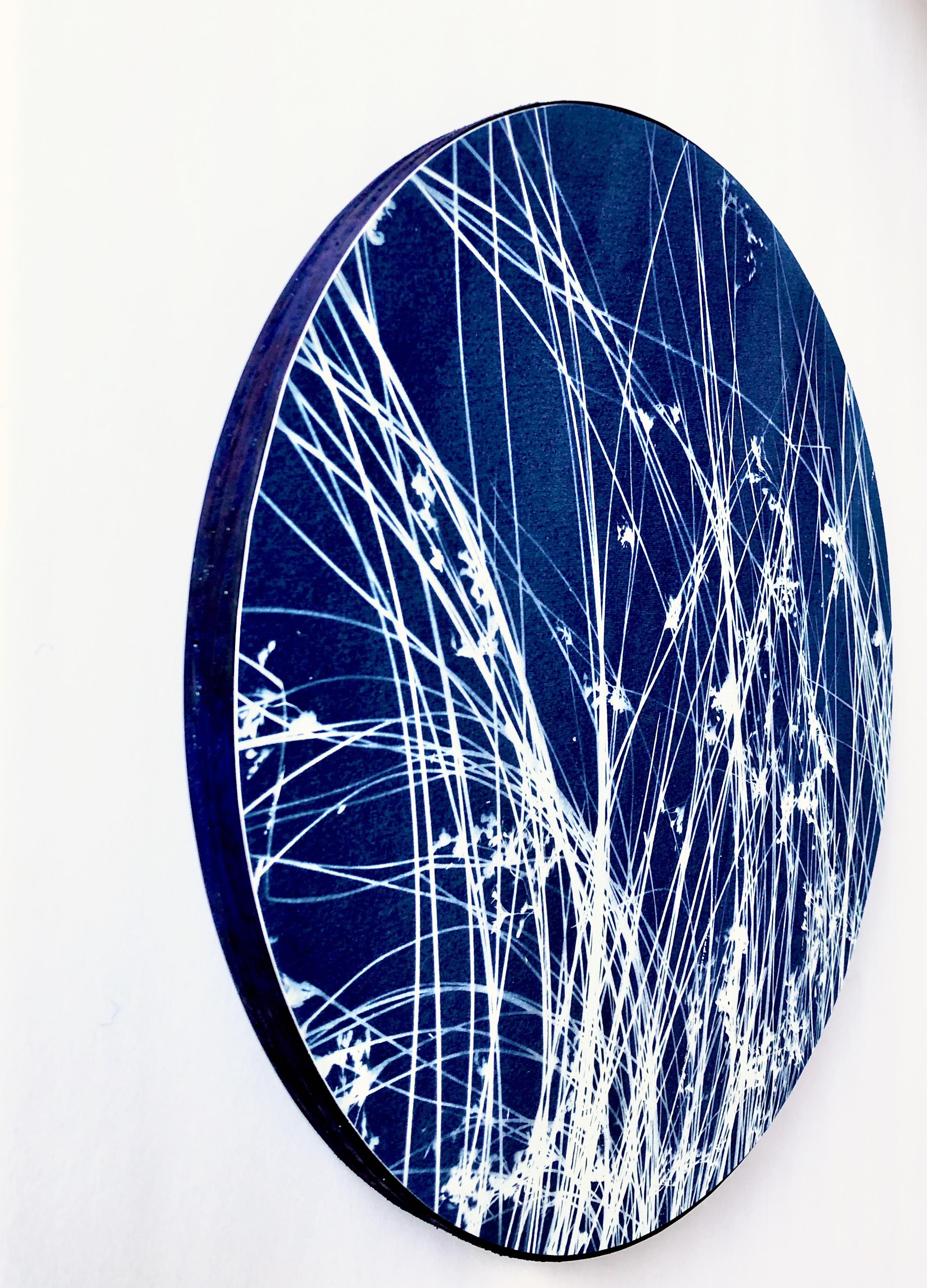 Zen Grass (14