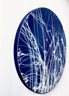 Zen Grass (cyanotype de 14" de diamètre monté sur panneau de bois)