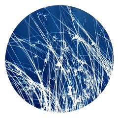 Zen Grass (14" diameter cyanotype mounted on wood panel)