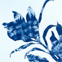 Jardin d'automne II (peinture cyanotype 10 x 10 pouces)
