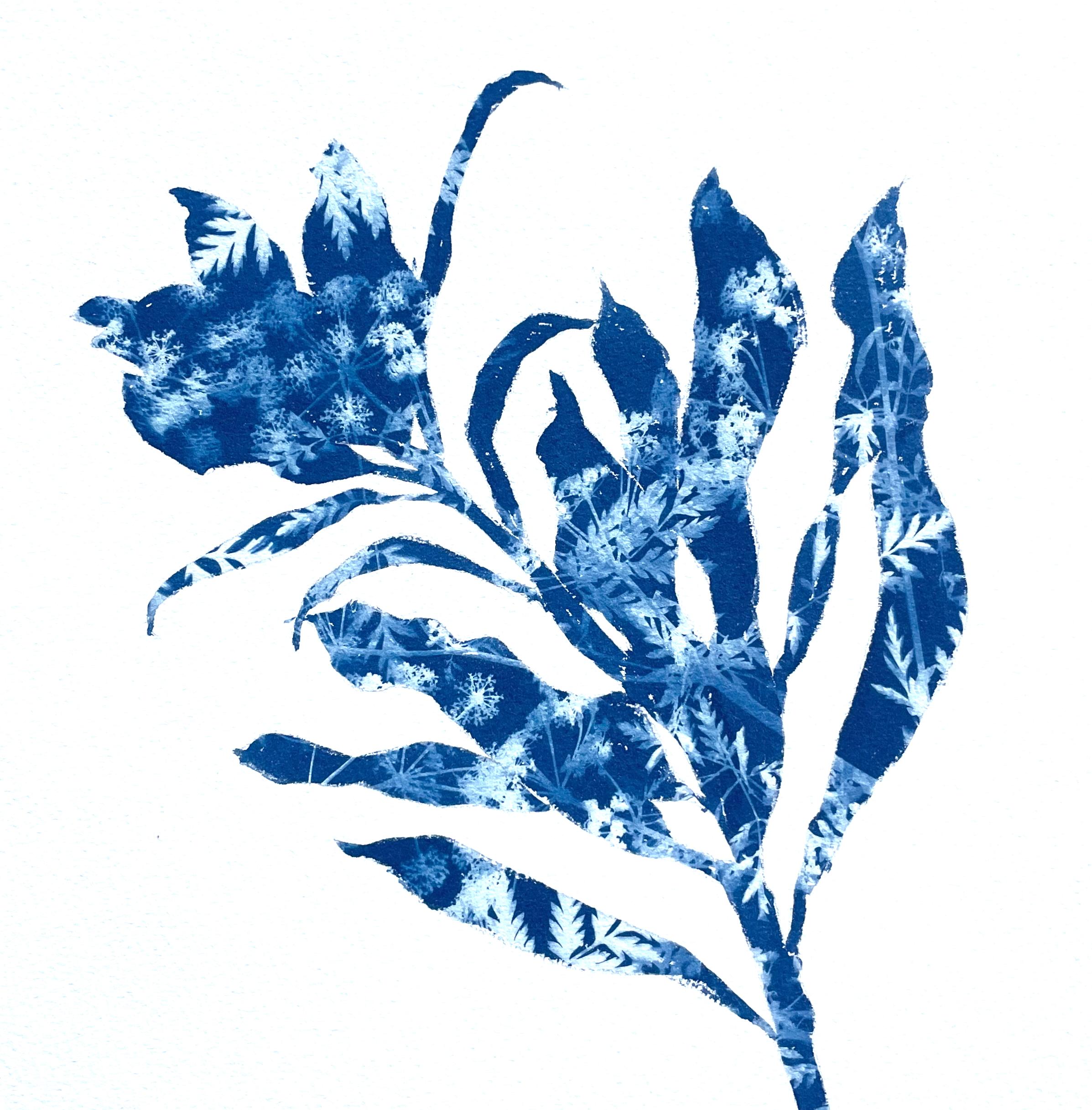 Autumn Garden II (10 x 10 inch cyanotype painting)