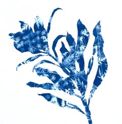 Autumn Garden II (10 x 10 inch cyanotype painting)