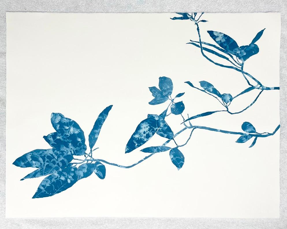 Creekside Madrone (30 x 22