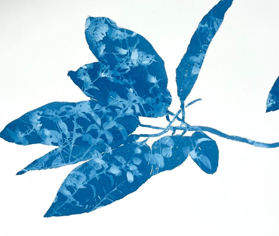 Creekside Madrone (30 x 22