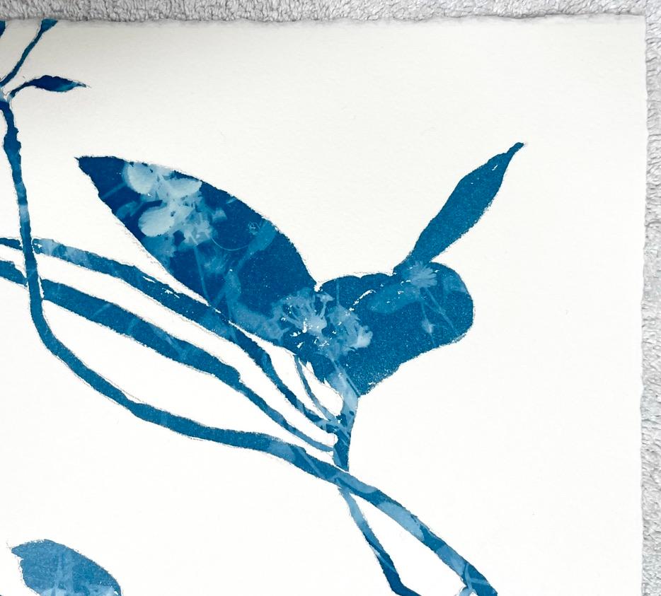 This unique multistep technique is a combination of a painting and a photograph or monotype. Cyanotypes are a kind of alternative photographic process from the 1800s. The chemicals are different from those used in black and white photography. The