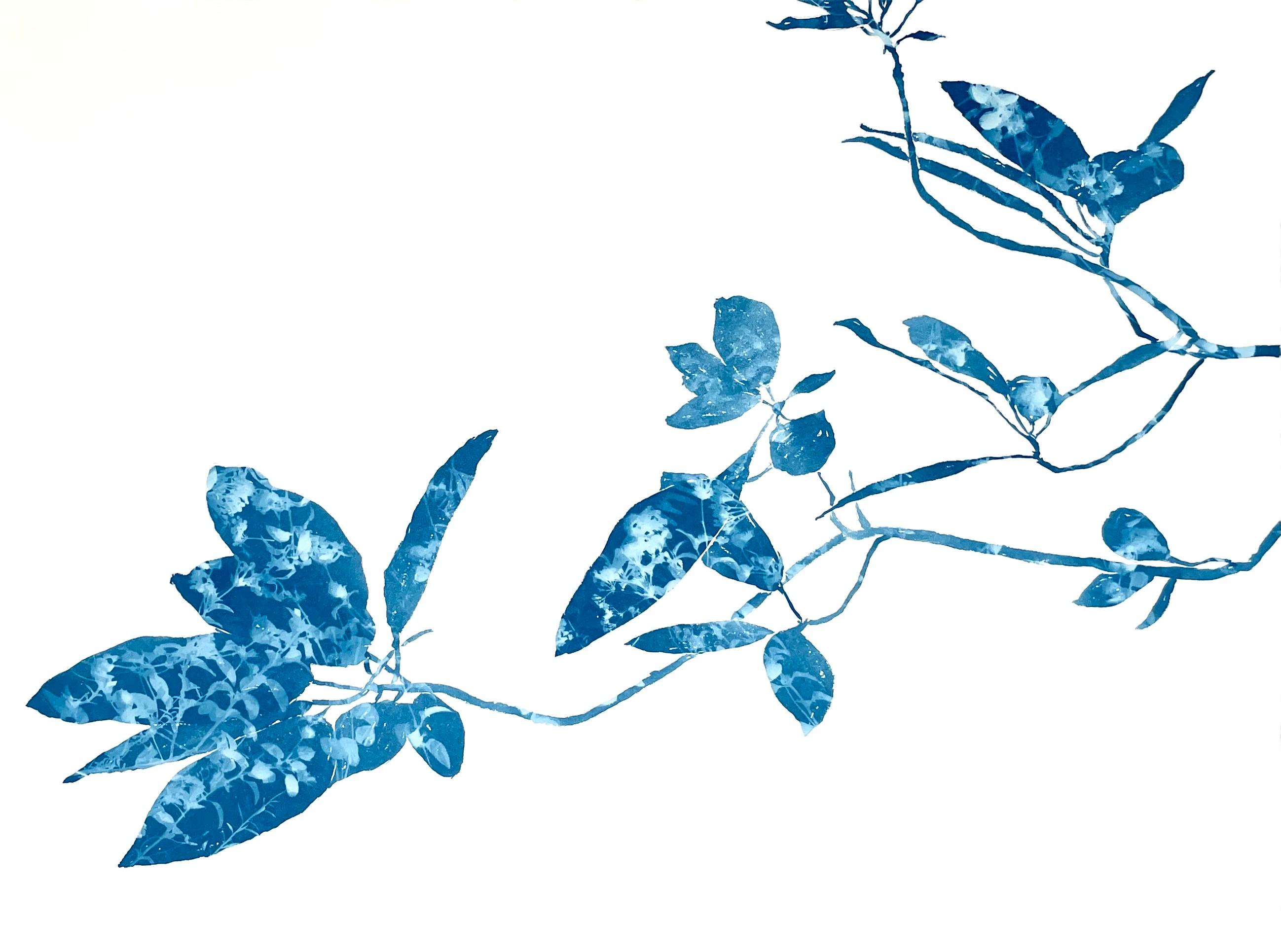 Christine So Still-Life Painting - Creekside Madrone (30 x 22" cyanotype painting)