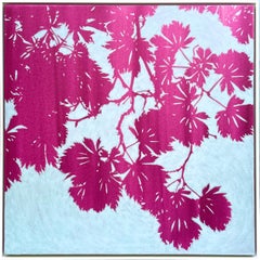 Érable japonais au lever du jour (peinture à l
huile 36 x 36 pouces)