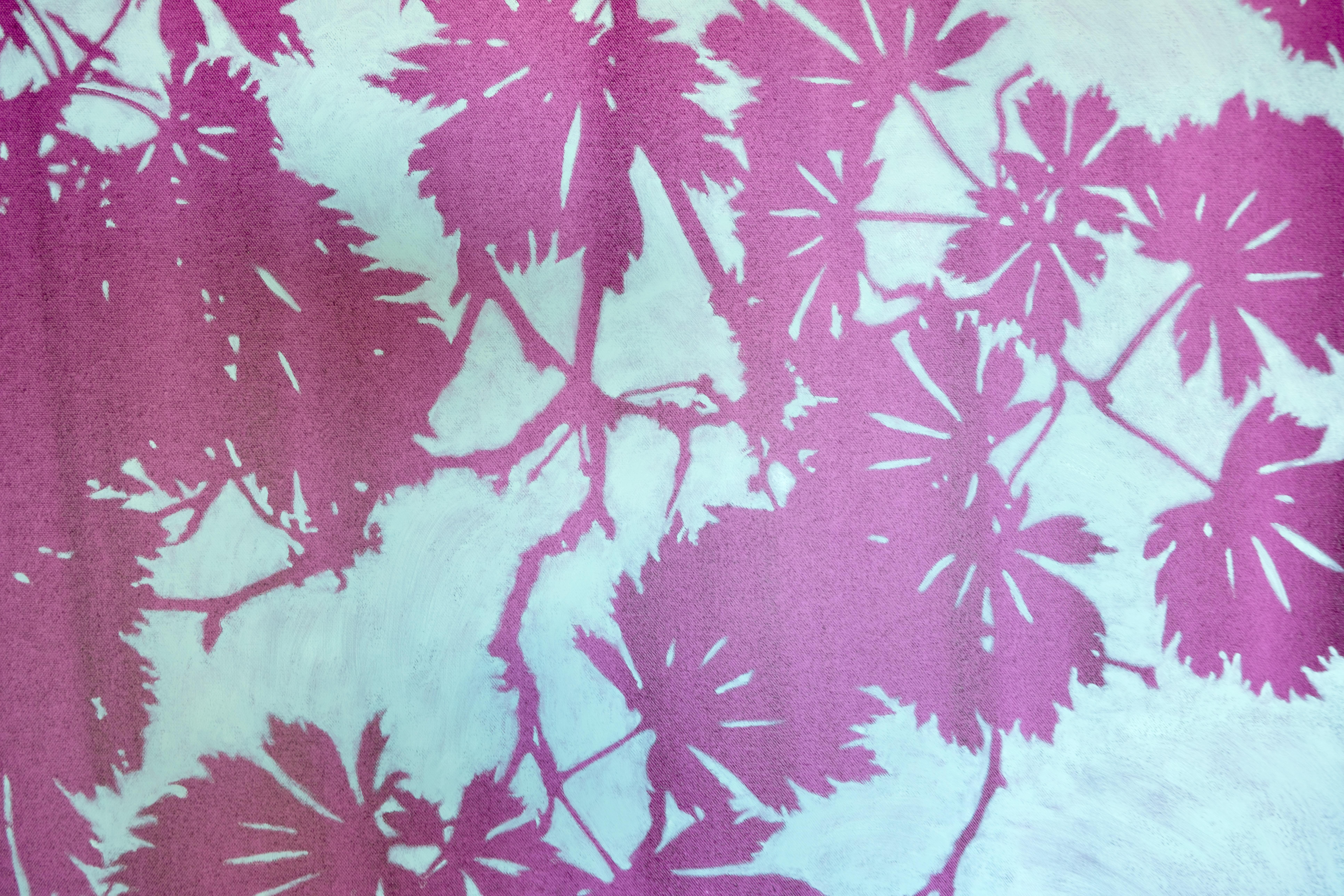 Dies ist ein 'tanzender Pfau Japanischer Ahorn'.  (Acer Japonicum Aconitifolium)  im Japanischen auch als 