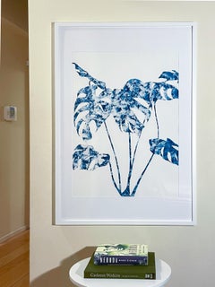 Delft Agapanthus (cyanotype painting framed to 35 x 28")