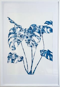 Delft Agapanthus (cyanotype painting framed to 35 x 28")