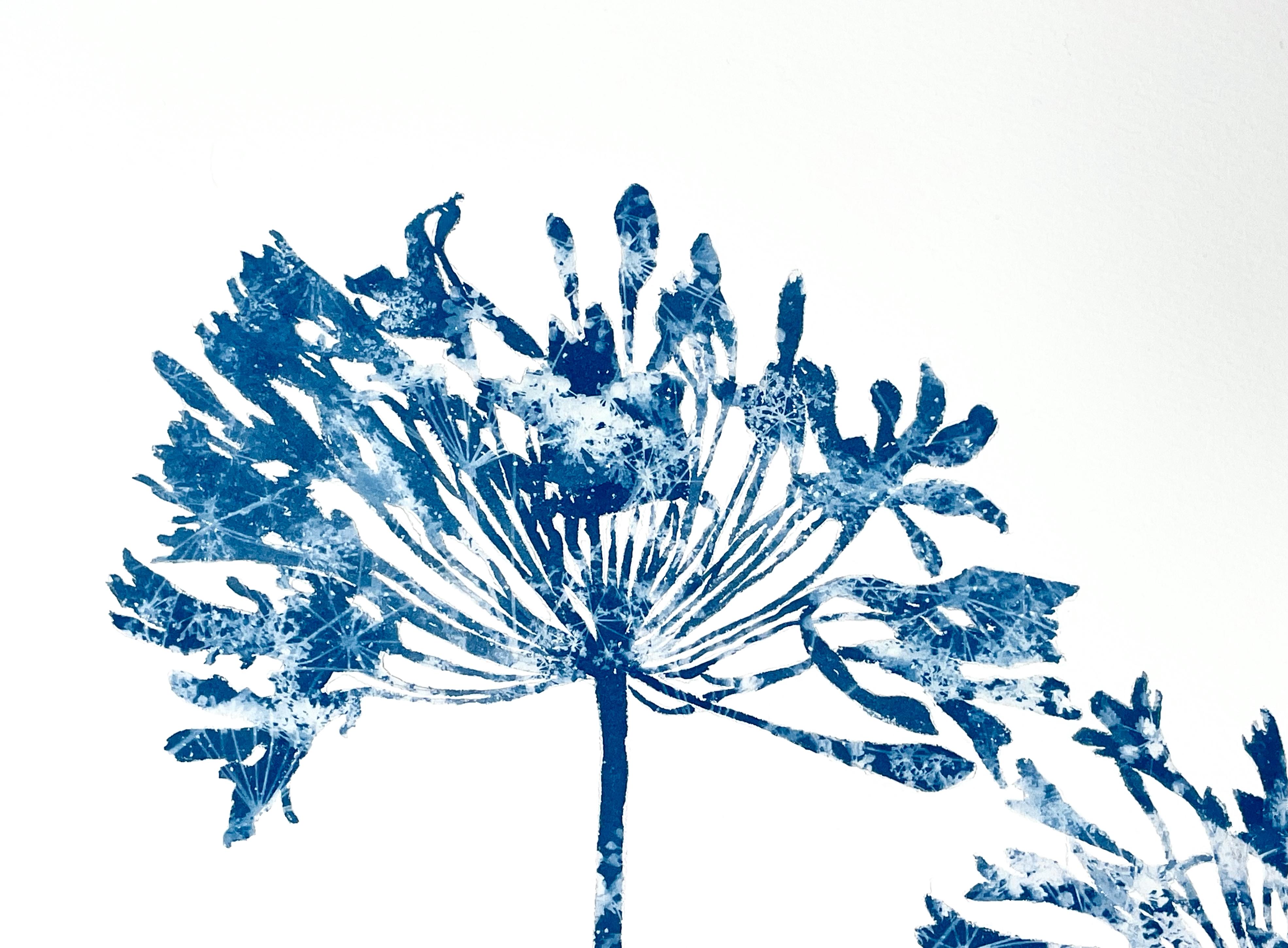 Delft Agapanthus VIII (24 x 18 Zoll Cyanotypie-Gemälde) – Painting von Christine So