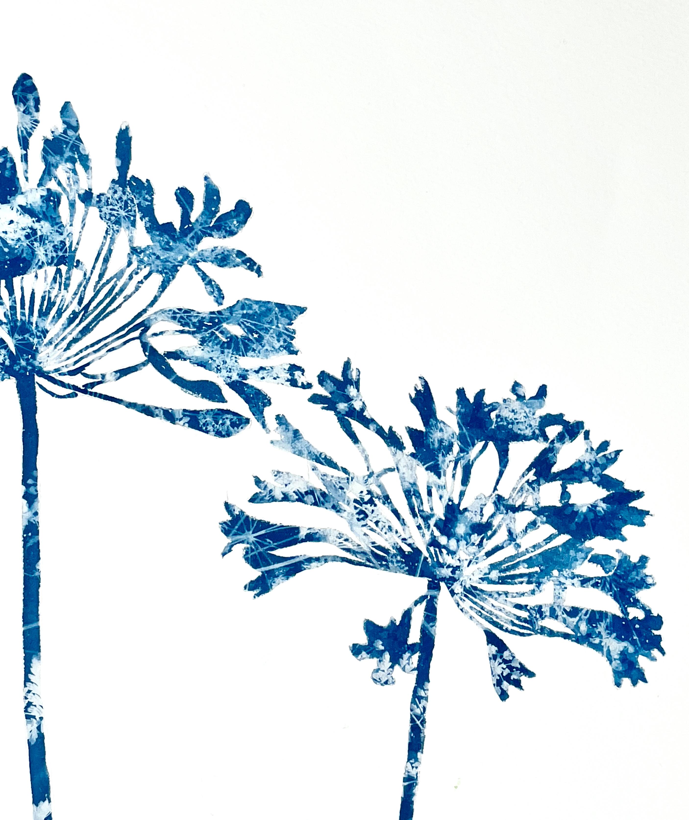 Delft Agapanthus VIII (24 x 18 Zoll Cyanotypie-Gemälde) (Zeitgenössisch), Painting, von Christine So