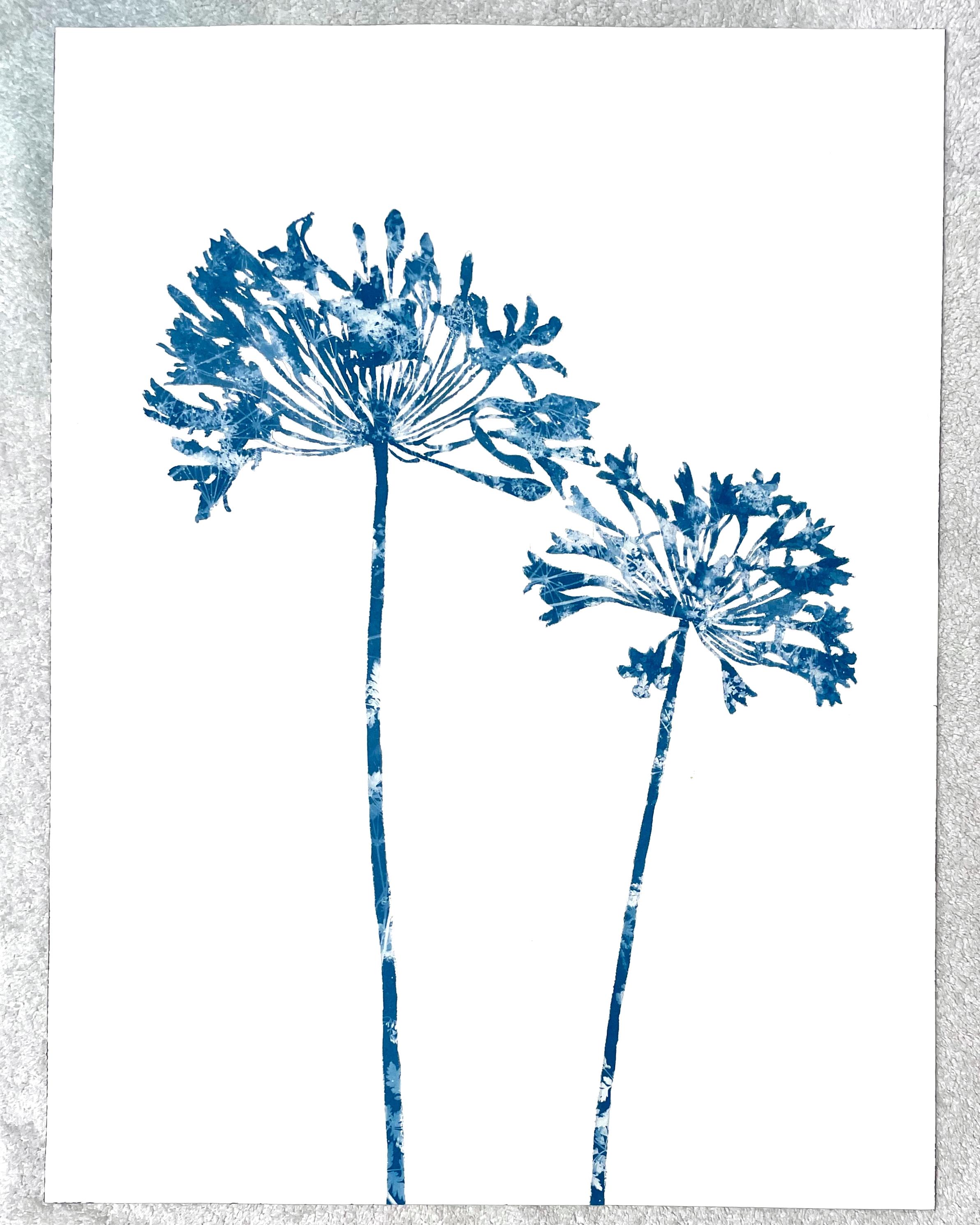 Delft Agapanthus VIII (24 x 18 Zoll Cyanotypie-Gemälde) (Blau), Still-Life Painting, von Christine So