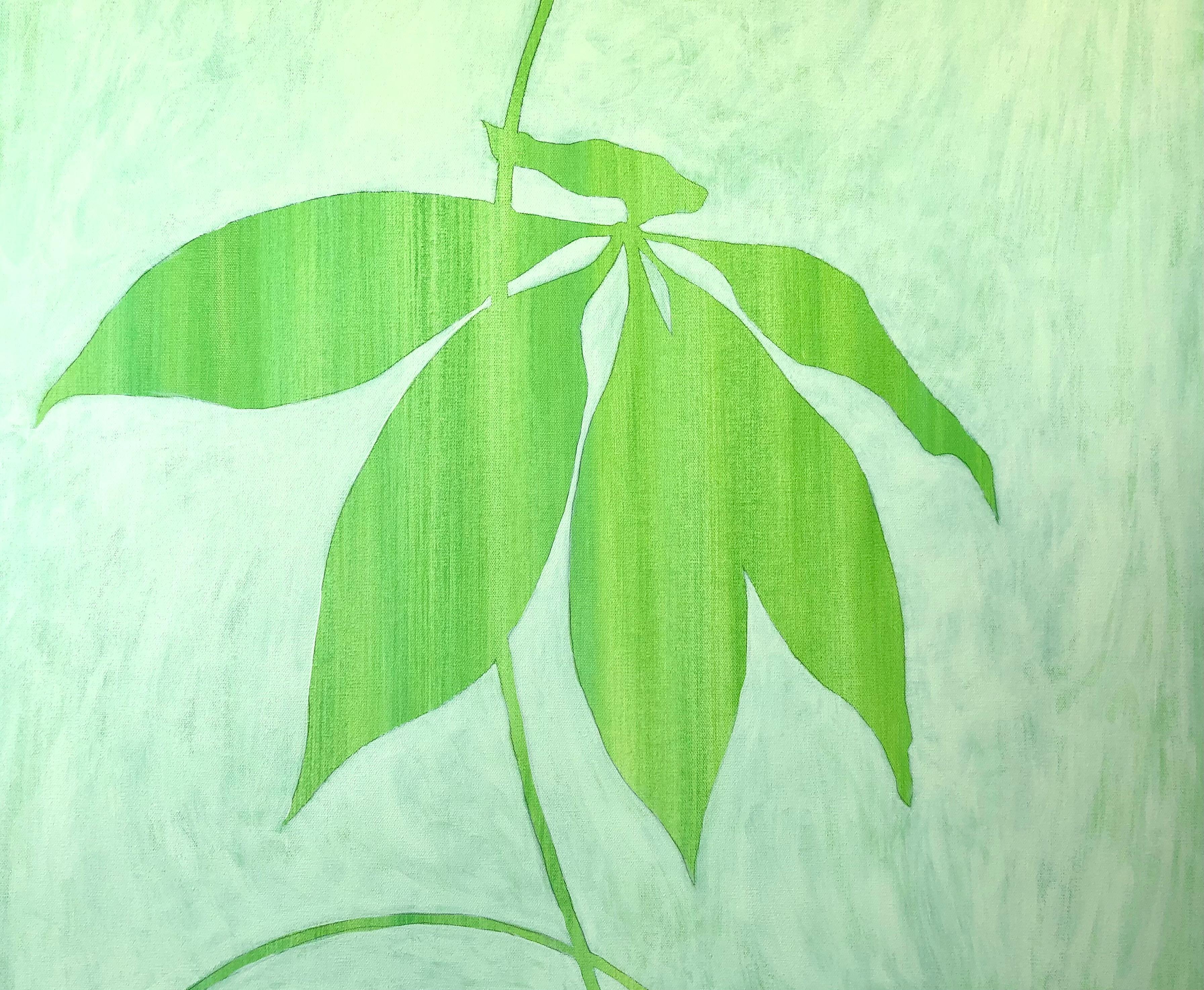 Les arcs gracieux de cette peinture botanique rappellent les peintures au pinceau à l'encre de Chine ou les textiles japonais. La silhouette est celle d'un arbre à argent, une plante traditionnellement considérée comme porteuse de chance. 

Les