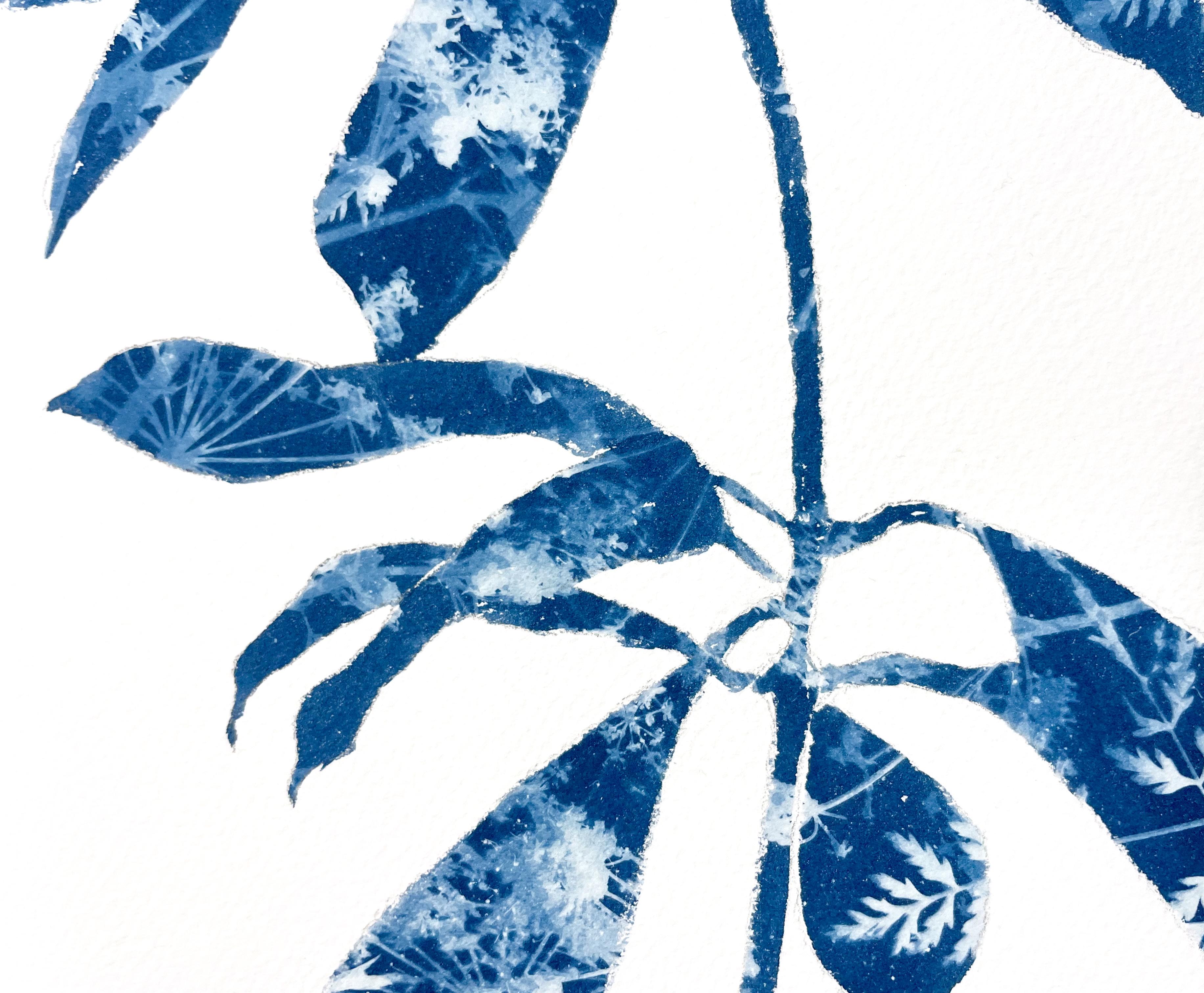 Rama de rododendro I (pintura cianotipia de 18 x 12 pulgadas) - Print Contemporáneo de Christine So