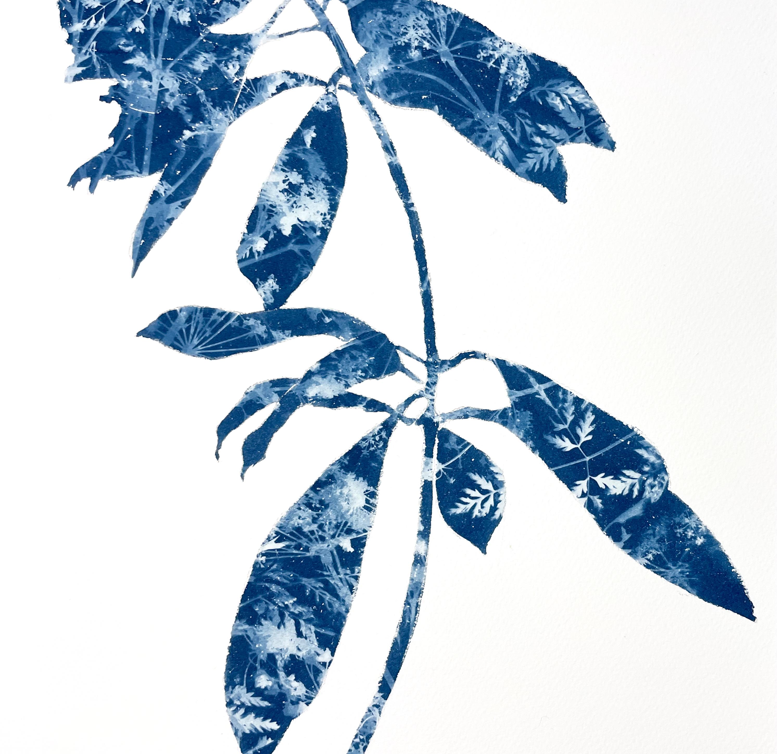 Rama de rododendro I (pintura cianotipia de 18 x 12 pulgadas) en venta 2