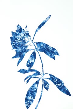Rhododendron Branch I (dipinto in cianotipia 18 x 12 pollici)