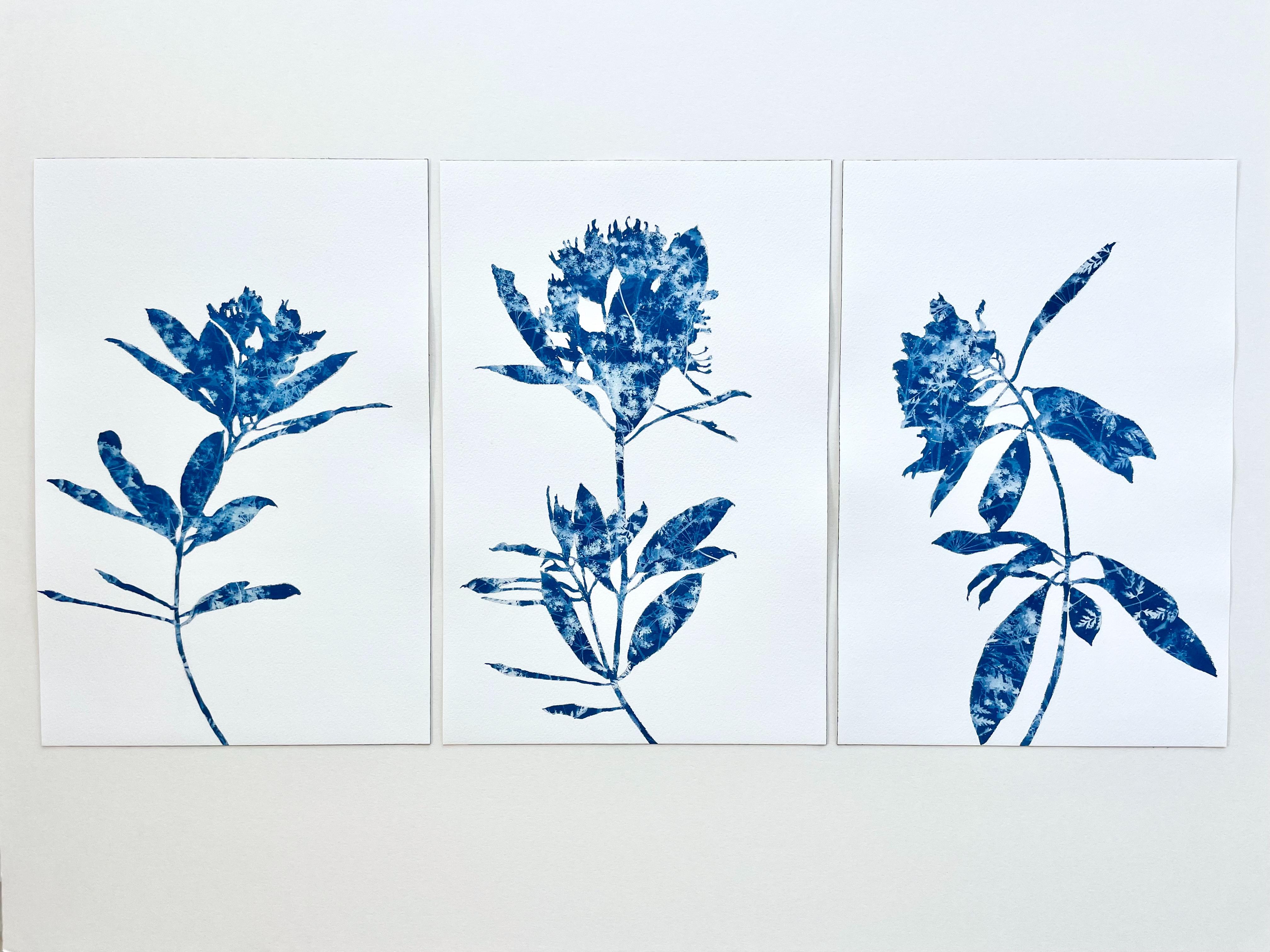Rhododendron Branch III (dipinto in cianotipia 18 x 12 pollici) - Painting Contemporaneo di Christine So