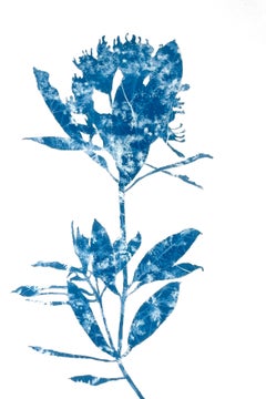 Rhododendron Branch III (dipinto in cianotipia 18 x 12 pollici)