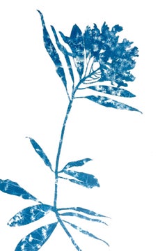 Rhododendron Branch IV (peinture cyanotype 18 x 12 pouces)