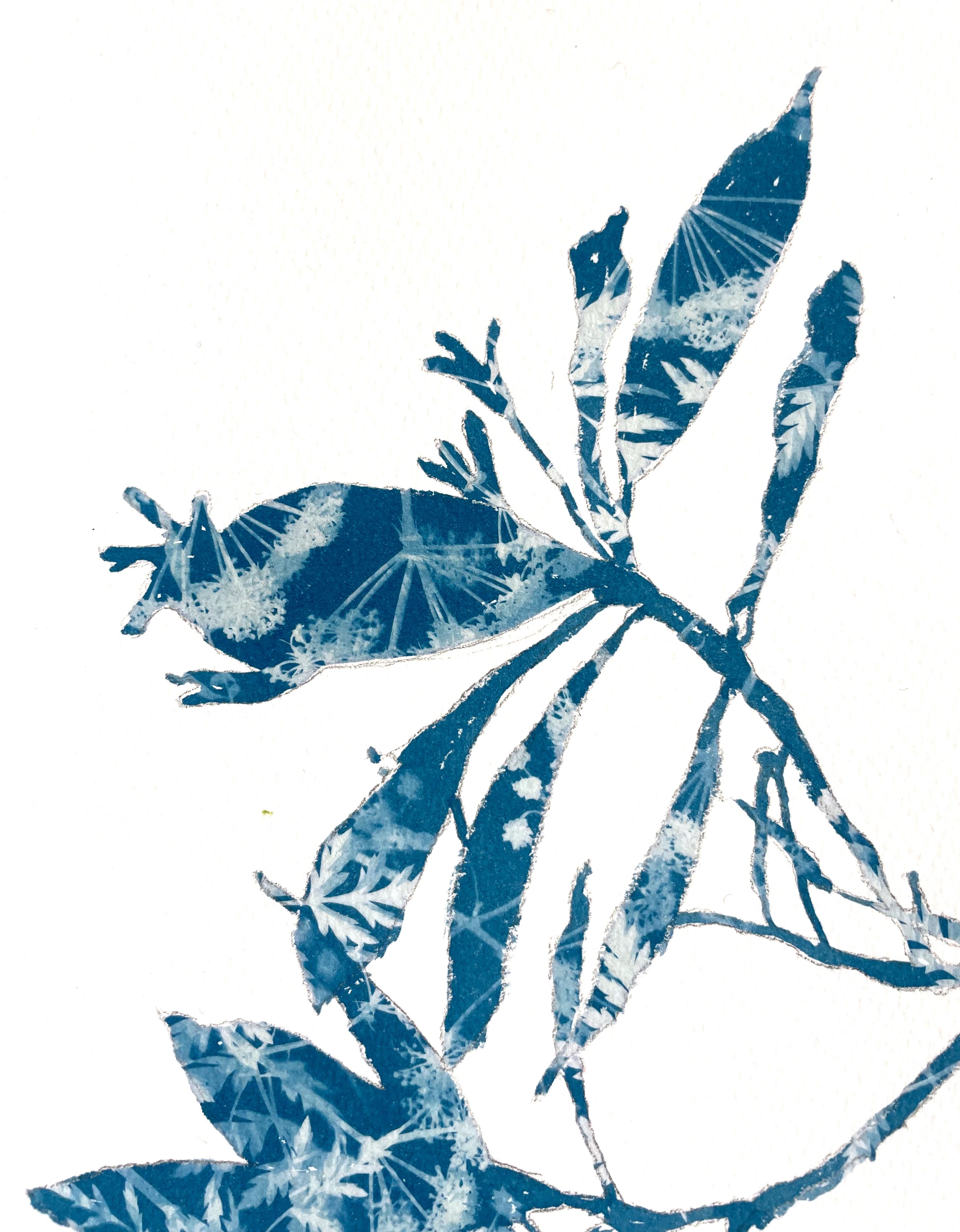 Germoglio di rododendro (dipinto in cianotipia 12 x 12 pollici) - Still-Life Print Blu di Christine So