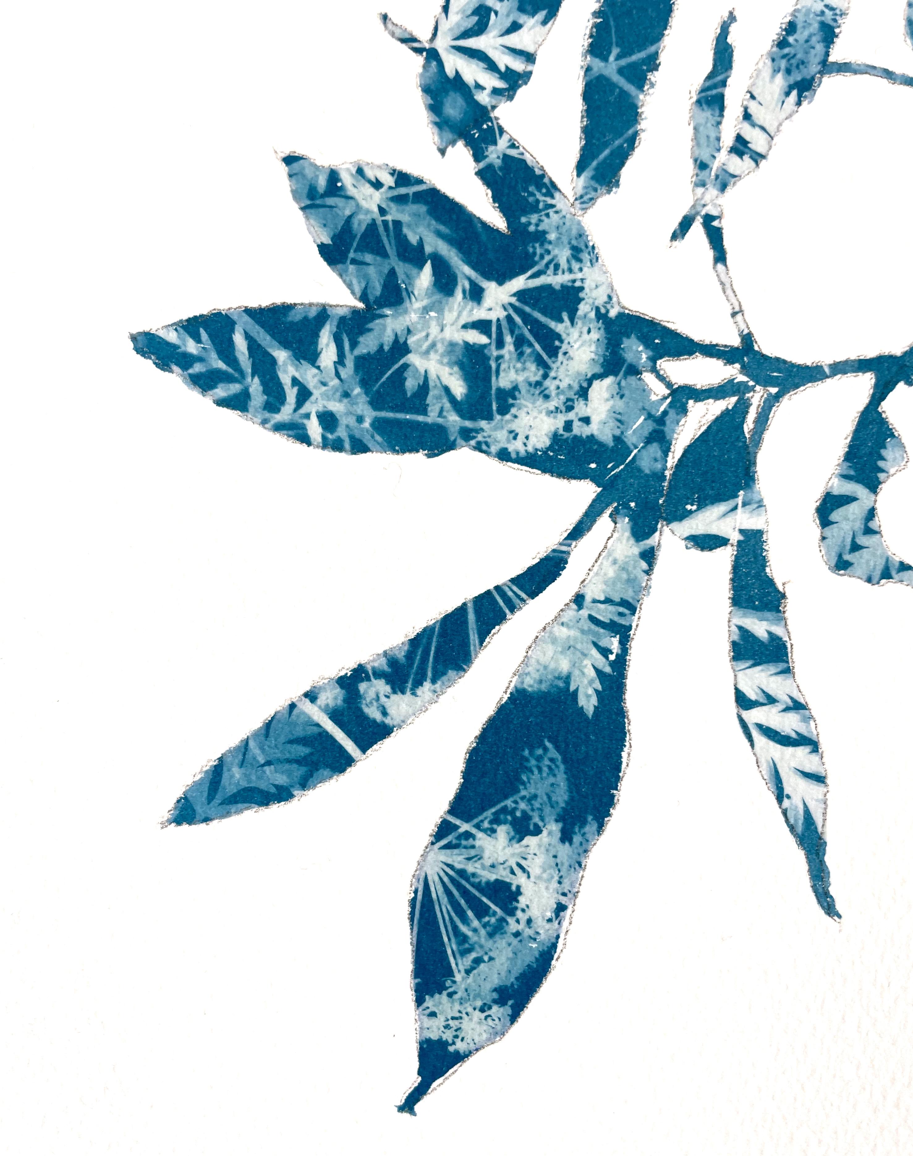 Si tratta di una combinazione di pittura e fotografia, l'antico processo di cianotipia. La silhouette della pianta è stata prima disegnata e poi dipinta non con inchiostro o vernice, ma con un'emulsione fotografica sensibile alla luce. Il motivo blu
