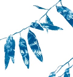 Spring Eucalyptus (18 x 24 inch cyanotype painting)